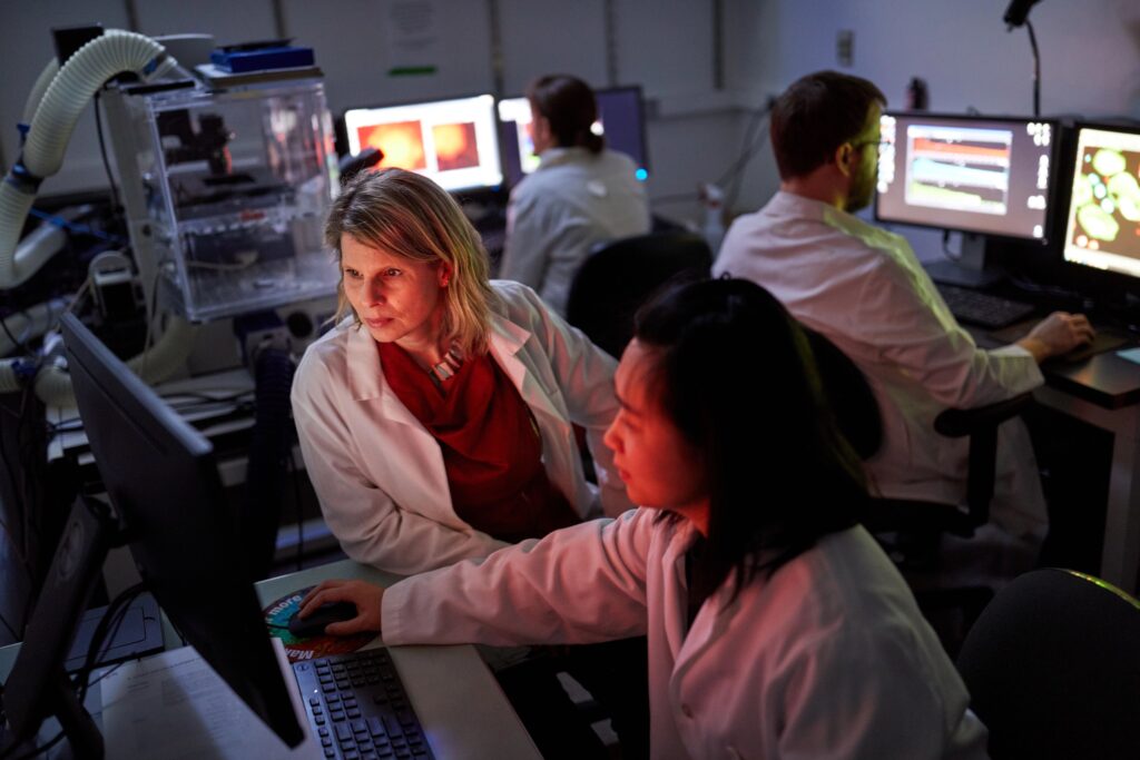 WashU Researchers